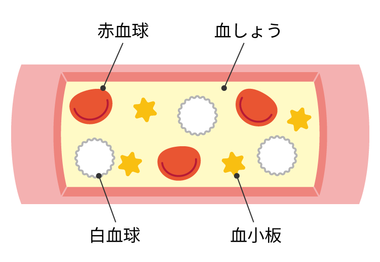 血液内科のイメージ写真